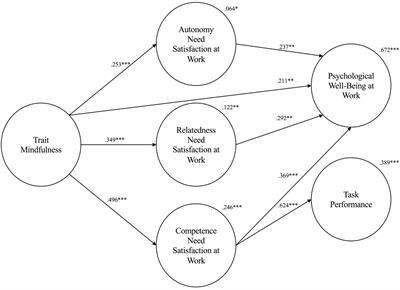 Switching off automatic pilot to promote wellbeing and performance in the workplace: the role of mindfulness and basic psychological needs satisfaction